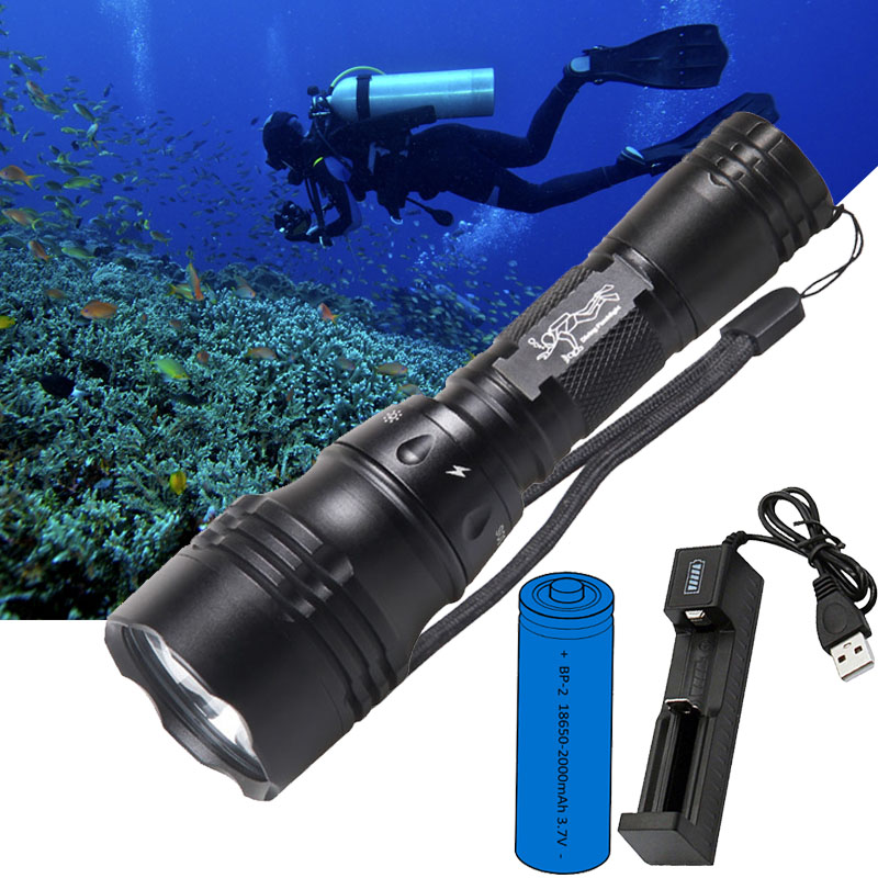 Fish Finder Charger - ダイビングランプ ポータブル 10W T6 L2 LED