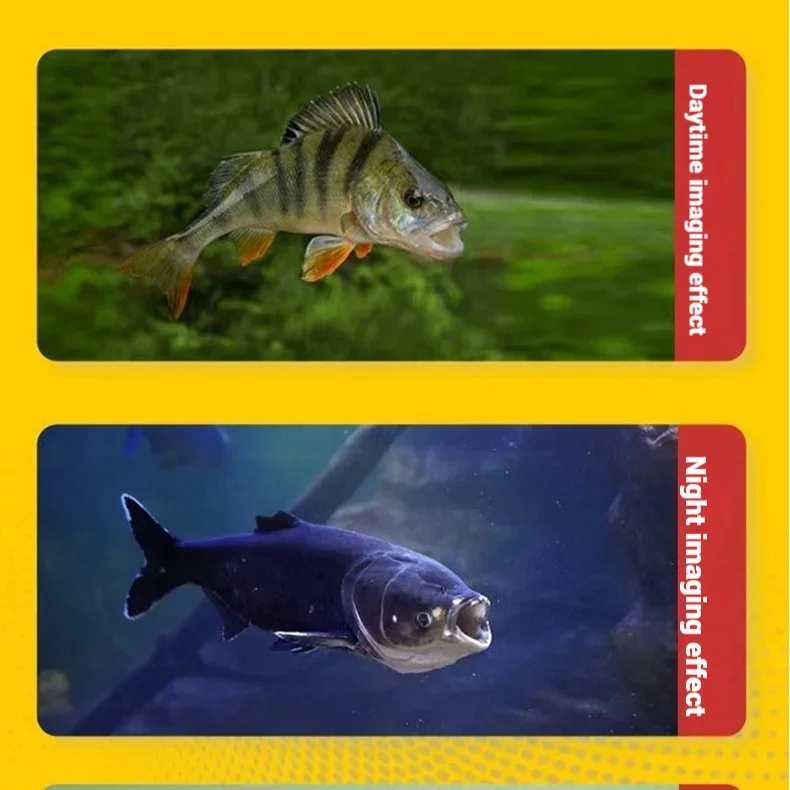 4.3インチ/5インチナイトビジョン水中釣りカメラ、HDスク - Fish Finder Portable のレビューと価格